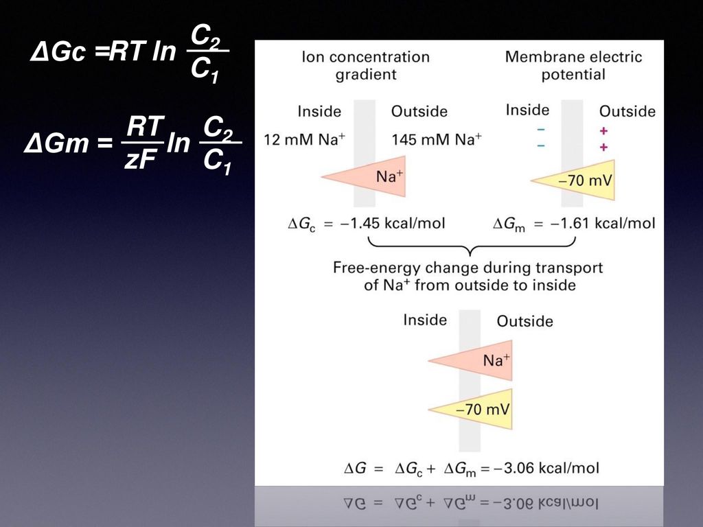 C2 C1 ΔGc = RT ln C2 C1 RT zF ΔGm = ln