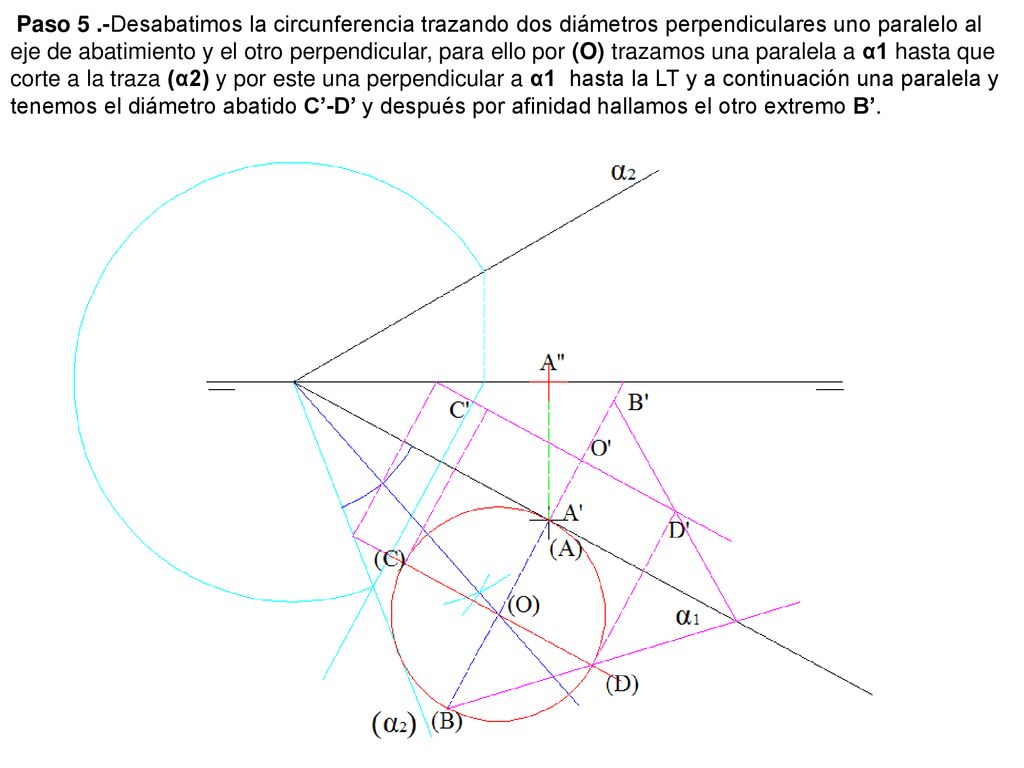 Paso 5 .-Desabatimos la circunferencia trazando dos diámetros perpendiculares uno paralelo al eje de abatimiento y el otro perpendicular, para ello por (O) trazamos una paralela a α1 hasta que corte a la traza (α2) y por este una perpendicular a α1 hasta la LT y a continuación una paralela y tenemos el diámetro abatido C’-D’ y después por afinidad hallamos el otro extremo B’.