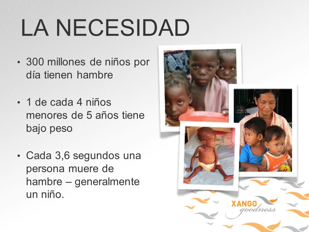 LA NECESIDAD 300 millones de niños por día tienen hambre