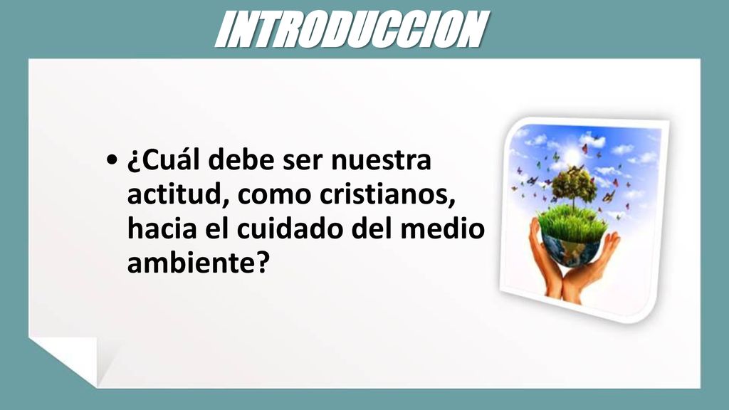 INTRODUCCION ¿Cuál debe ser nuestra actitud, como cristianos, hacia el cuidado del medio ambiente