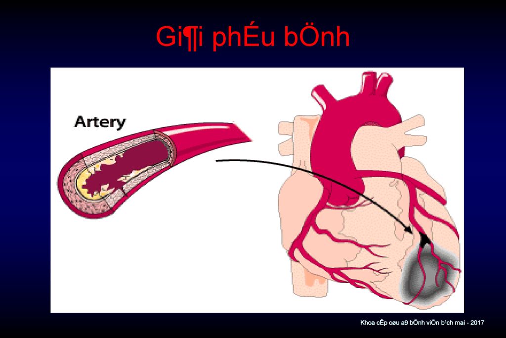 Gi¶i phÉu bÖnh Khoa cÊp cøu a9 bÖnh viÖn b¹ch mai