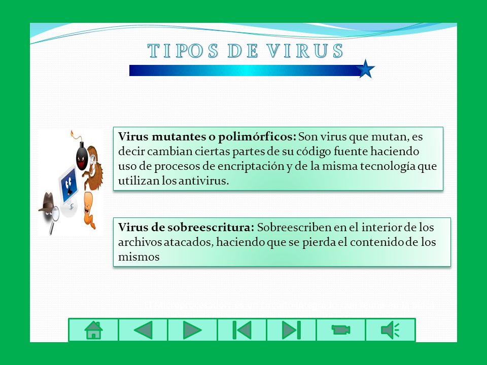 T I PO S D E V I R U S