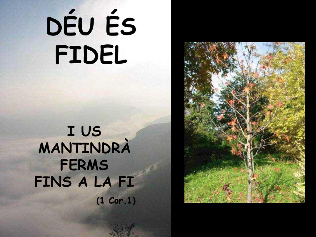 I US MANTINDRÀ FERMS FINS A LA FI (1 Cor.1)