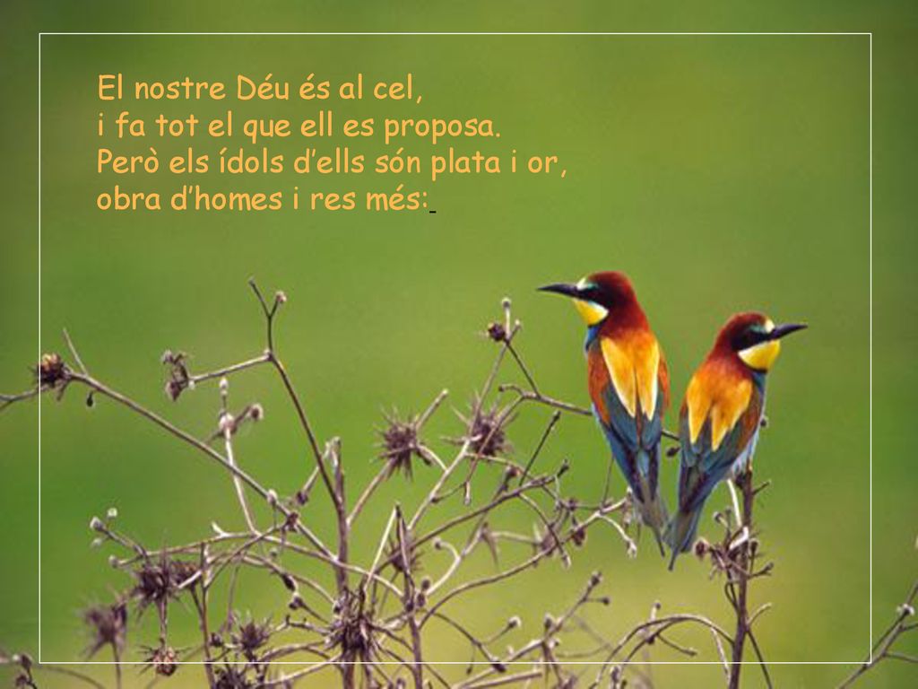 El nostre Déu és al cel, i fa tot el que ell es proposa.