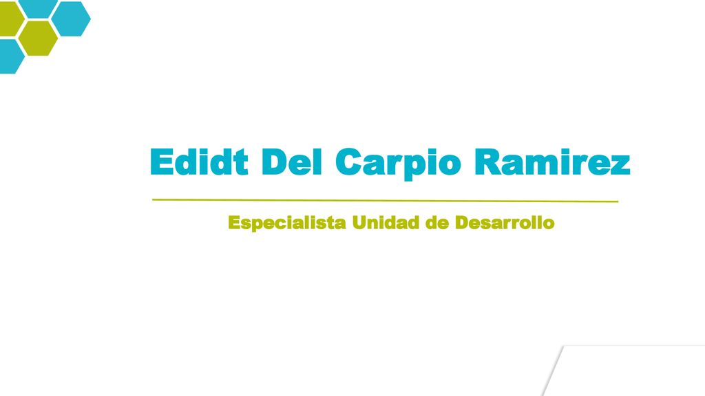 Edidt Del Carpio Ramirez Especialista Unidad de Desarrollo