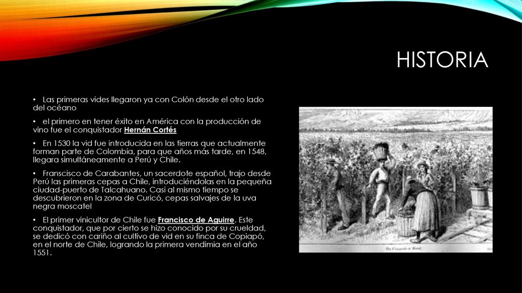 Historia Las primeras vides llegaron ya con Colón desde el otro lado del océano.