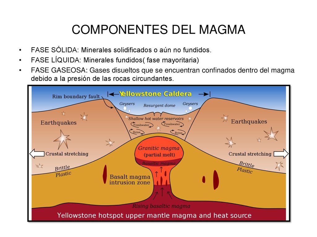 COMPONENTES DEL MAGMA FASE SÓLIDA: Minerales solidificados o aún no fundidos. FASE LÍQUIDA: Minerales fundidos( fase mayoritaria)