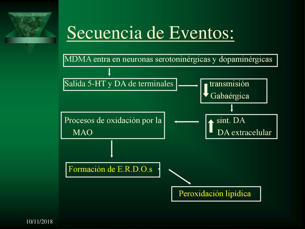 Secuencia de Eventos: MDMA entra en neuronas serotoninérgicas y dopaminérgicas. Salida 5-HT y DA de terminales transmisión.