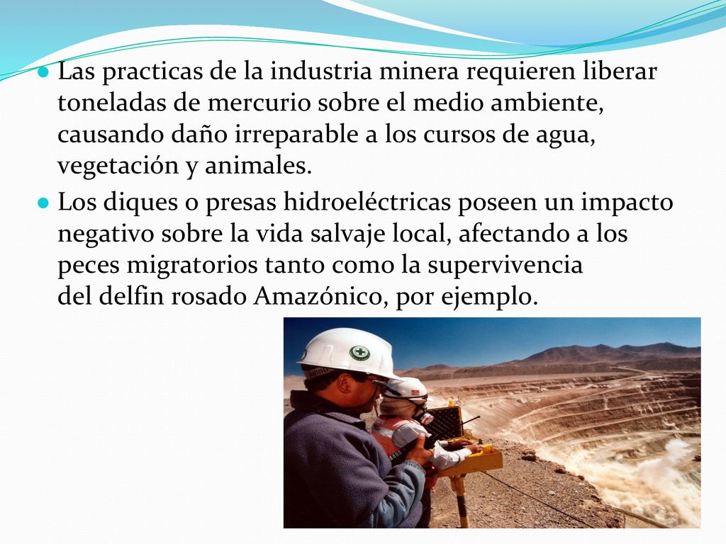 Las practicas de la industria minera requieren liberar toneladas de mercurio sobre el medio ambiente, causando daño irreparable a los cursos de agua, vegetación y animales.