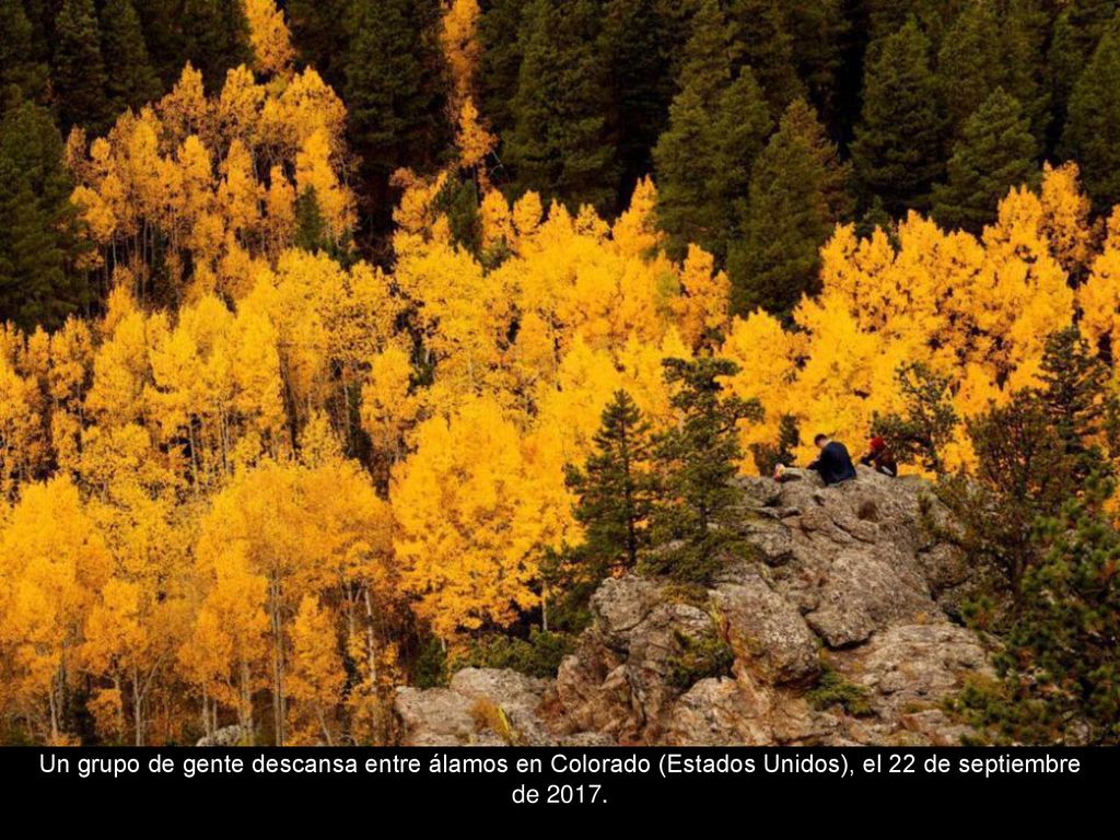 Un grupo de gente descansa entre álamos en Colorado (Estados Unidos), el 22 de septiembre de 2017.