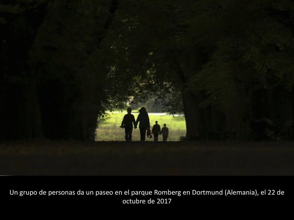 Un grupo de personas da un paseo en el parque Romberg en Dortmund (Alemania), el 22 de octubre de 2017