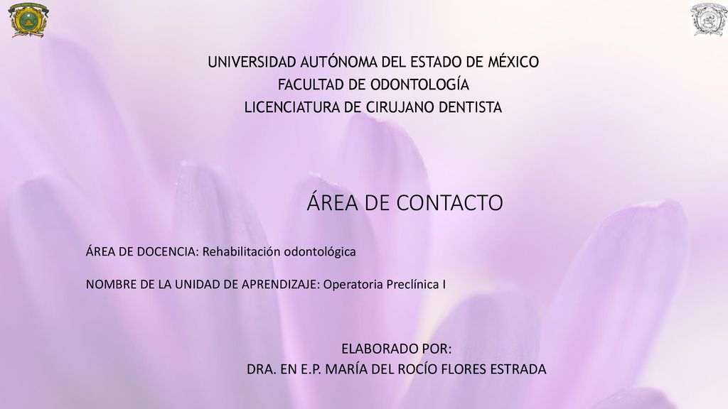 ELABORADO POR: DRA. EN E.P. MARÍA DEL ROCÍO FLORES ESTRADA