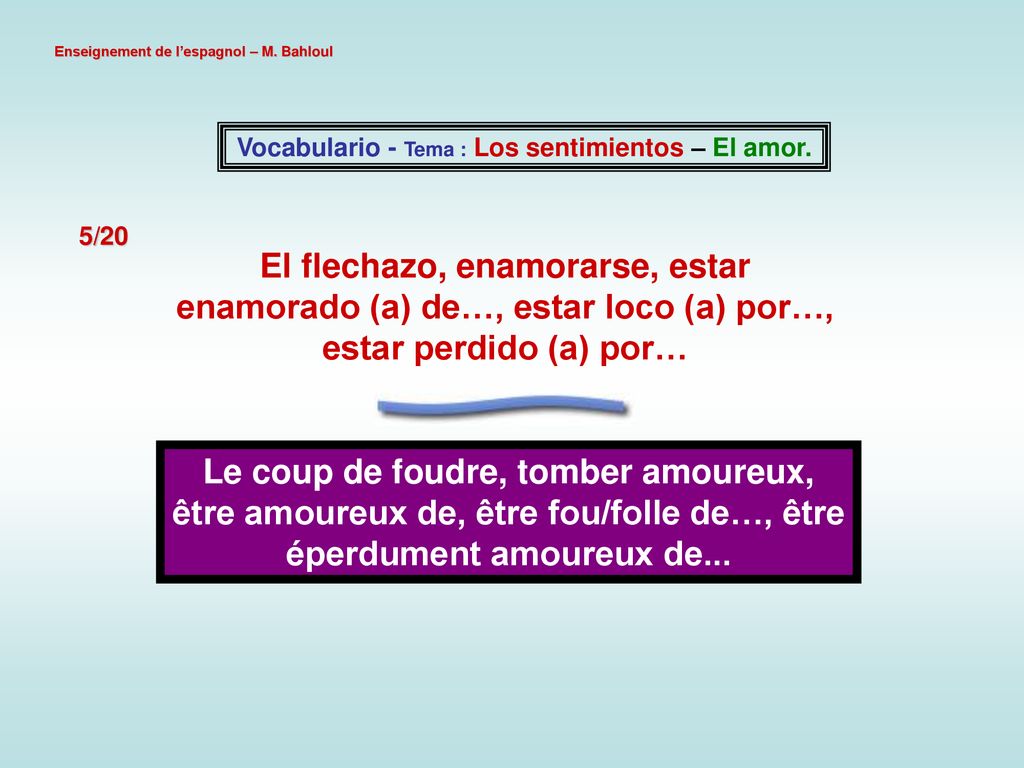Vocabulario - Tema : Los sentimientos – El amor.