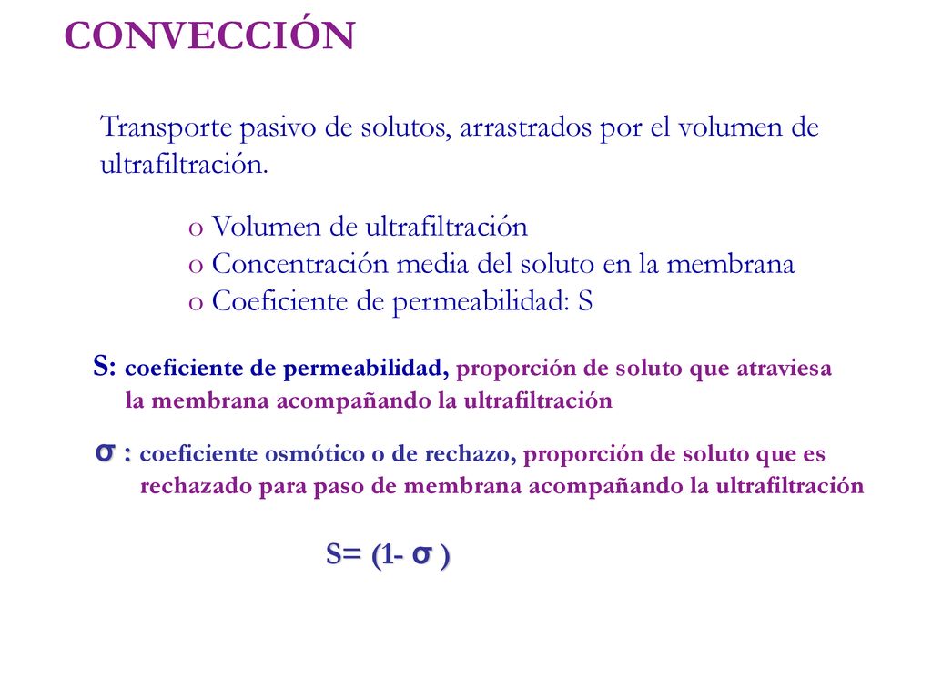 CONVECCIÓN Transporte pasivo de solutos, arrastrados por el volumen de