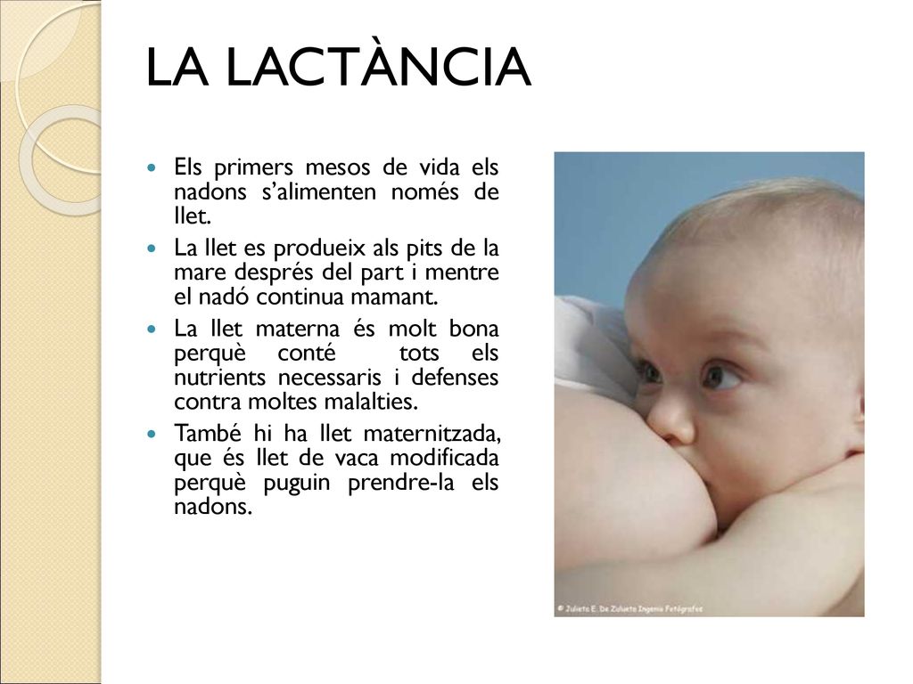 LA LACTÀNCIA Els primers mesos de vida els nadons s’alimenten només de llet.