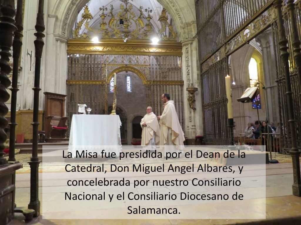 La Misa fue presidida por el Dean de la Catedral, Don Miguel Angel Albares, y concelebrada por nuestro Consiliario Nacional y el Consiliario Diocesano de Salamanca.