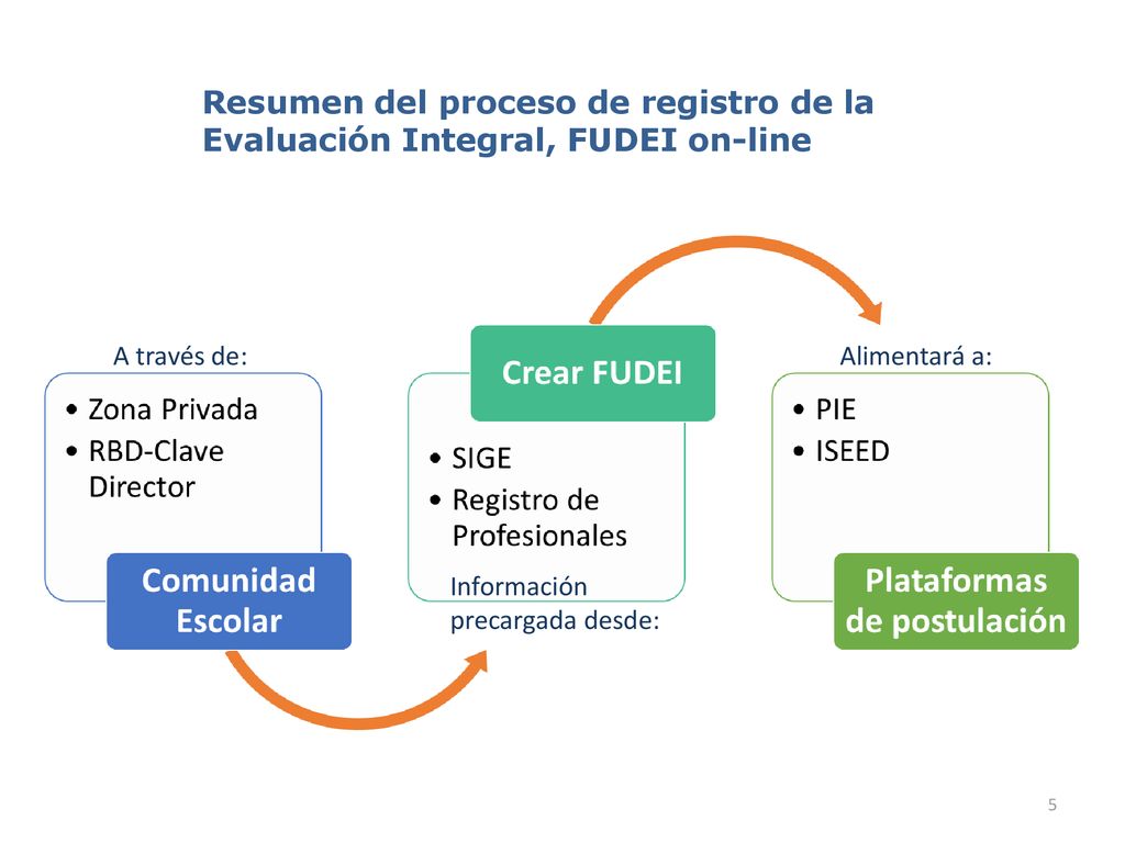 Resumen del proceso de registro de la Evaluación Integral, FUDEI on-line