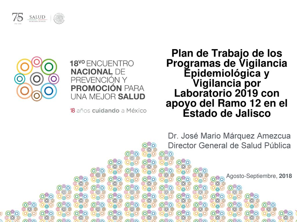 Plan de Trabajo de los Programas de Vigilancia Epidemiológica y Vigilancia por Laboratorio 2019 con apoyo del Ramo 12 en el Estado de Jalisco