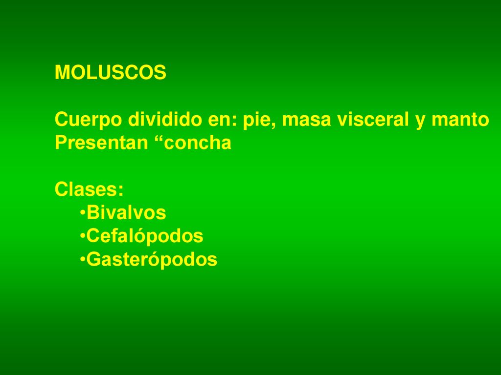 MOLUSCOS Cuerpo dividido en: pie, masa visceral y manto. Presentan concha. Clases: Bivalvos. Cefalópodos.