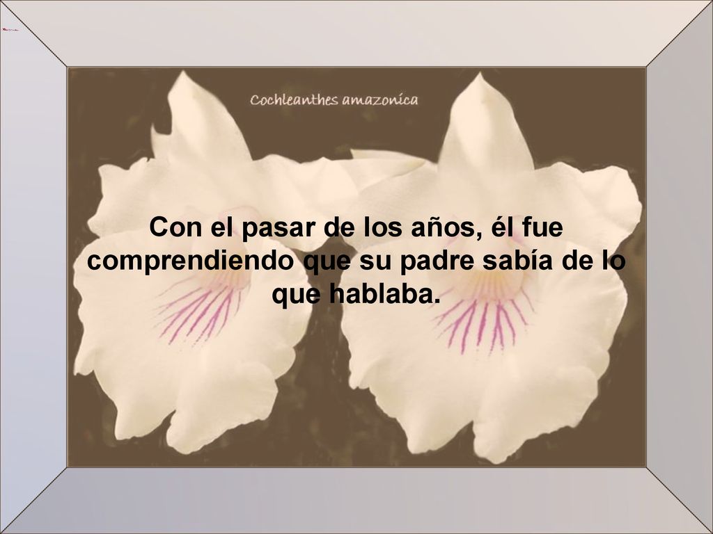Con el pasar de los años, él fue comprendiendo que su padre sabía de lo que hablaba.