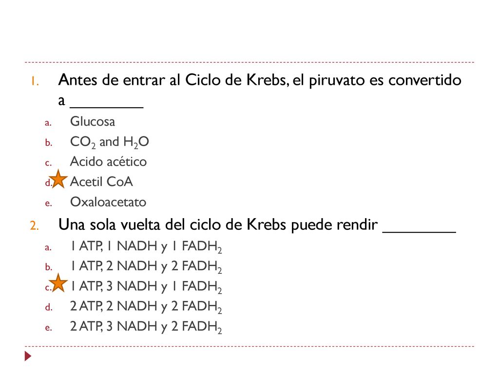 Una sola vuelta del ciclo de Krebs puede rendir ________