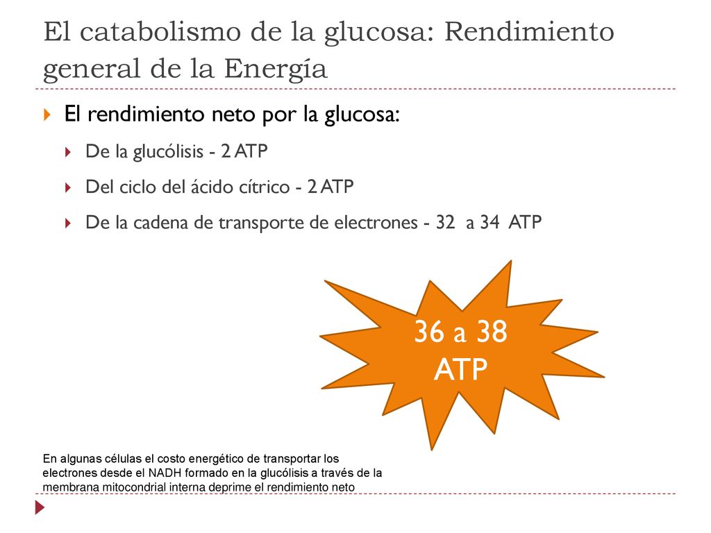 El catabolismo de la glucosa: Rendimiento general de la Energía