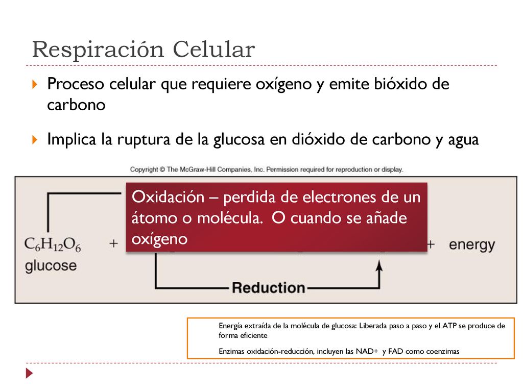 Respiración Celular Proceso celular que requiere oxígeno y emite bióxido de carbono. Implica la ruptura de la glucosa en dióxido de carbono y agua.