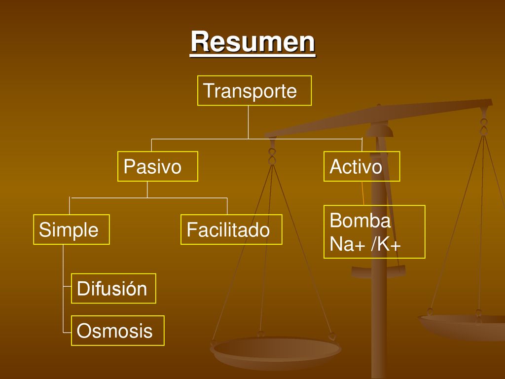 Resumen Transporte Pasivo Activo Bomba Na+ /K+ Simple Facilitado