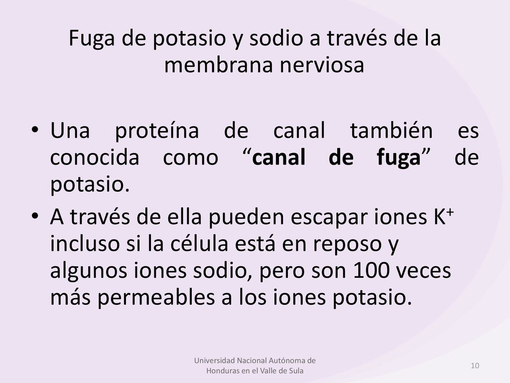 Fuga de potasio y sodio a través de la membrana nerviosa