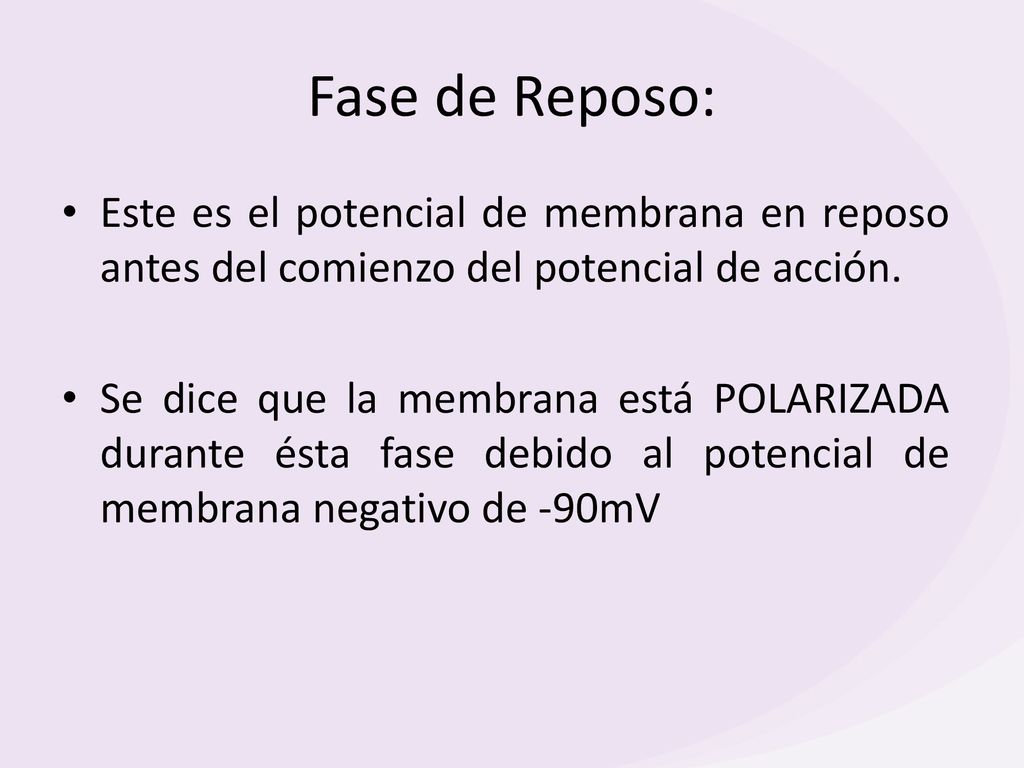 Fase de Reposo: Este es el potencial de membrana en reposo antes del comienzo del potencial de acción.