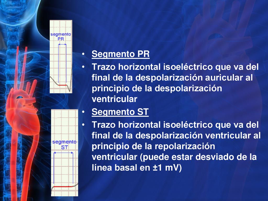 Segmento PR Trazo horizontal isoeléctrico que va del final de la despolarización auricular al principio de la despolarización ventricular.