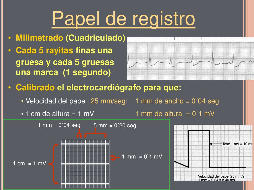 Papel de registro Milimetrado (Cuadriculado) Cada 5 rayitas finas una