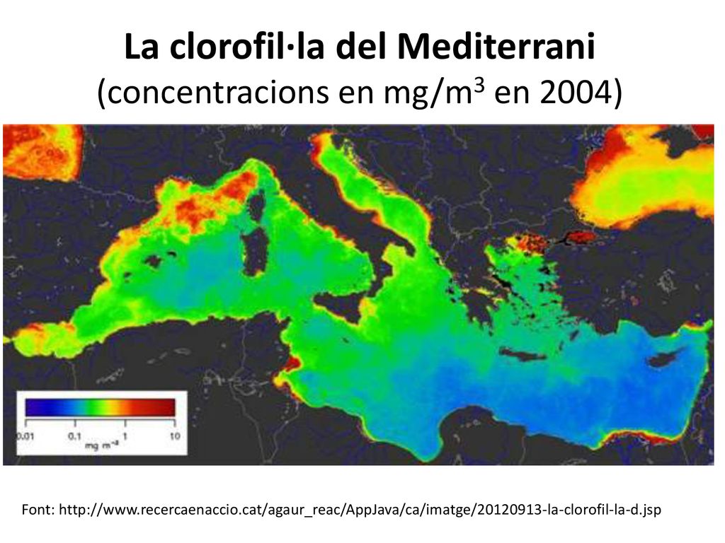 La clorofil·la del Mediterrani (concentracions en mg/m3 en 2004)