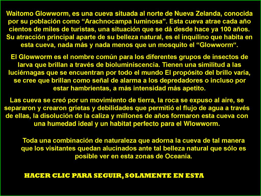 Waitomo Glowworm, es una cueva situada al norte de Nueva Zelanda, conocida por su población como Arachnocampa luminosa . Esta cueva atrae cada año cientos de miles de turistas, una situación que se dá desde hace ya 100 años. Su atracción principal aparte de su belleza natural, es el inquilino que habita en esta cueva, nada más y nada menos que un mosquito el Glowworm .