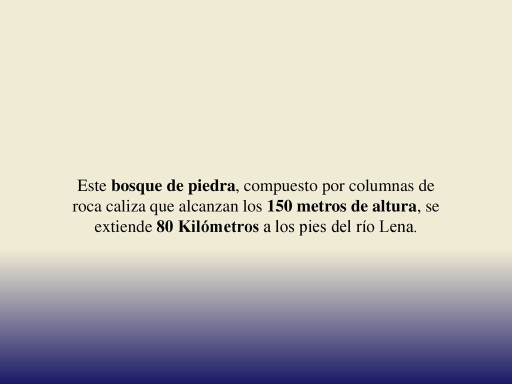 Este bosque de piedra, compuesto por columnas de roca caliza que alcanzan los 150 metros de altura, se extiende 80 Kilómetros a los pies del río Lena.