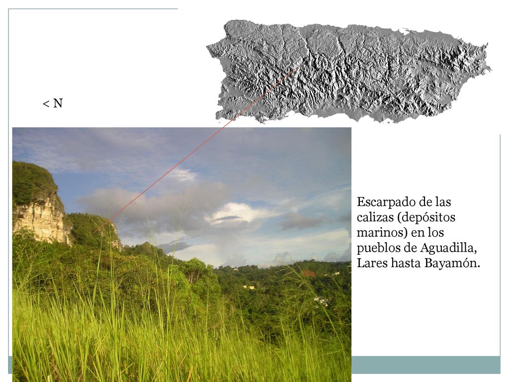 < N Escarpado de las calizas (depósitos marinos) en los pueblos de Aguadilla, Lares hasta Bayamón.