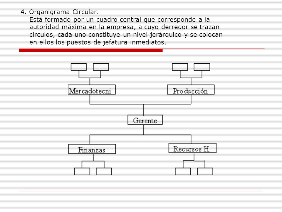 4. Organigrama Circular.