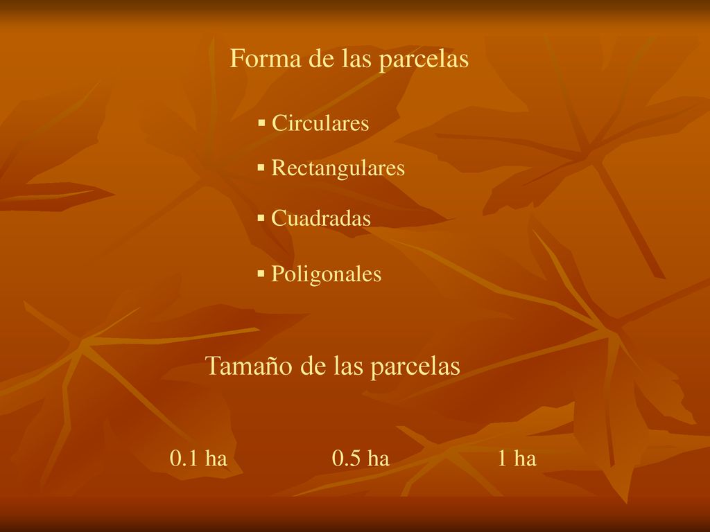 Forma de las parcelas Tamaño de las parcelas 0.1 ha 0.5 ha 1 ha