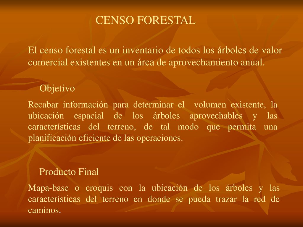 CENSO FORESTAL El censo forestal es un inventario de todos los árboles de valor comercial existentes en un área de aprovechamiento anual.