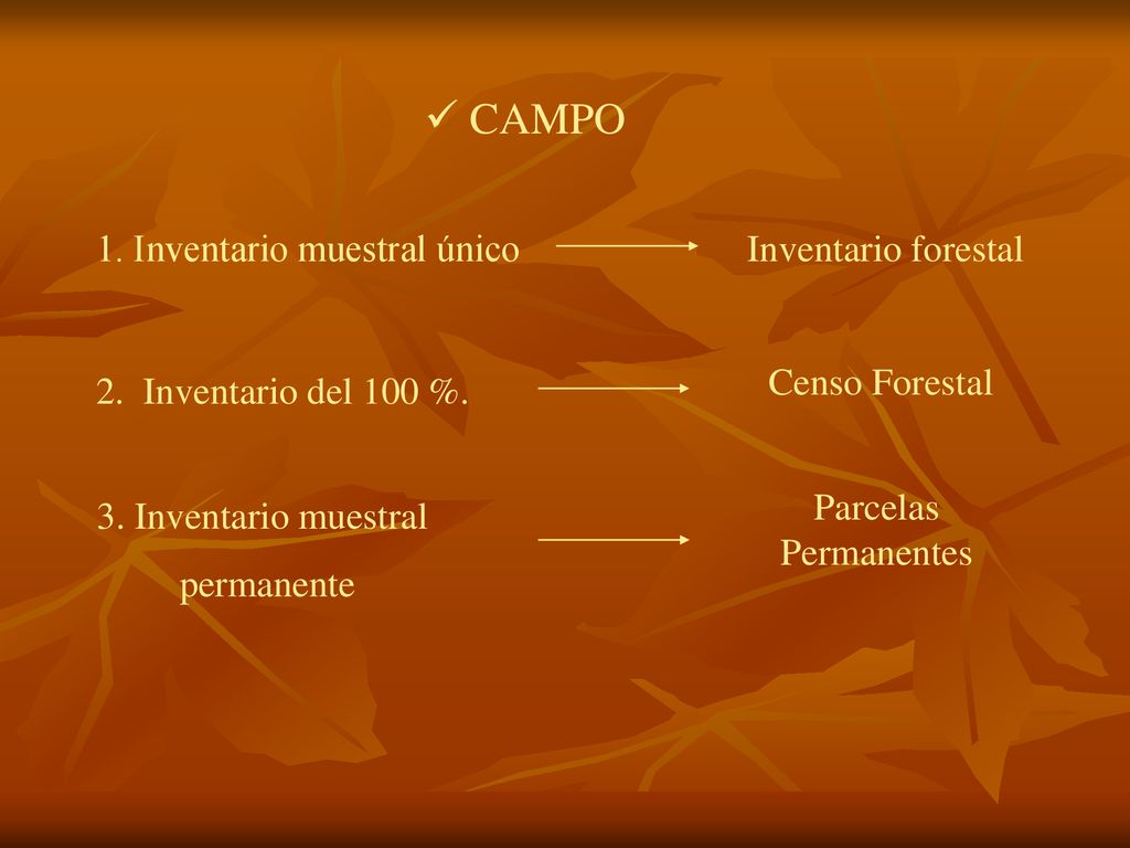 CAMPO 1. Inventario muestral único Inventario forestal Censo Forestal