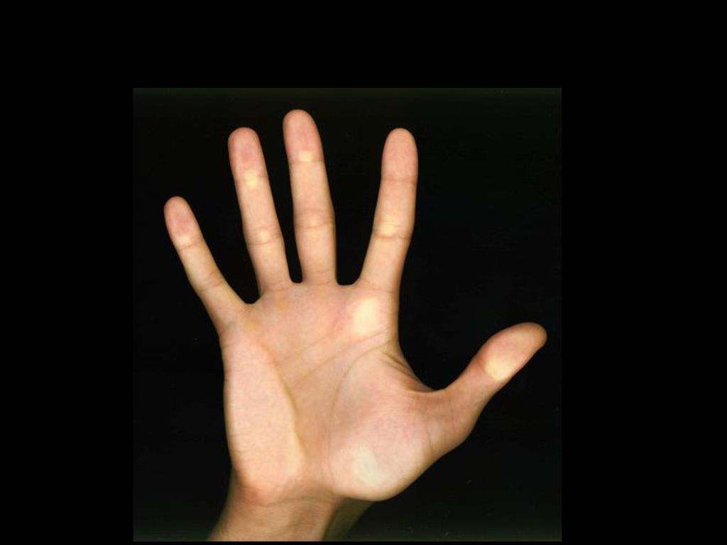 Ir y Hacer Discípulos 01 Mano derecha. - En la pantalla tengo una MANO. Qué mano es - Alguien dice fulana es mi mano derecha.
