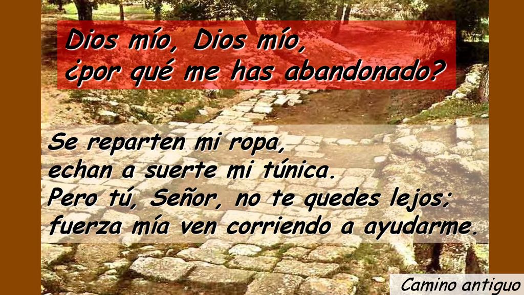 Dios mío, Dios mío, ¿por qué me has abandonado