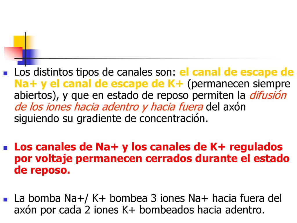 Los distintos tipos de canales son: el canal de escape de Na+ y el canal de escape de K+ (permanecen siempre abiertos), y que en estado de reposo permiten la difusión de los iones hacia adentro y hacia fuera del axón siguiendo su gradiente de concentración.