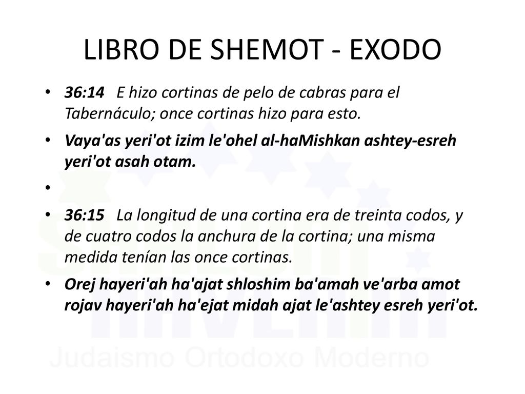 LIBRO DE SHEMOT - EXODO 36:14 E hizo cortinas de pelo de cabras para el Tabernáculo; once cortinas hizo para esto.