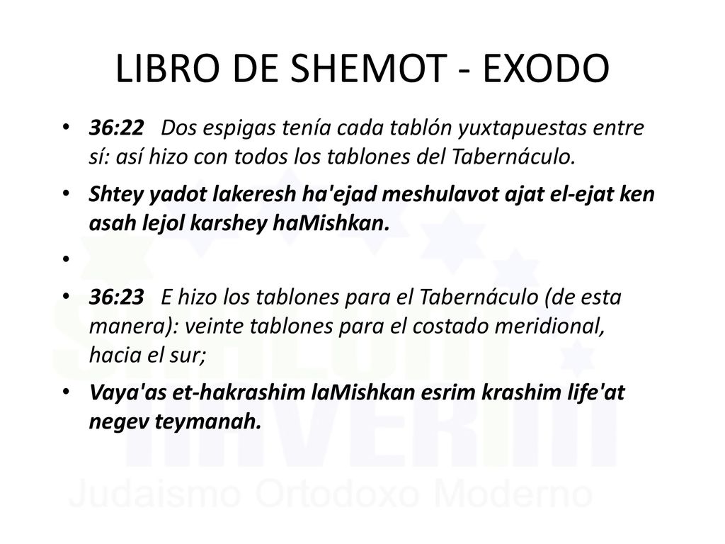 LIBRO DE SHEMOT - EXODO 36:22 Dos espigas tenía cada tablón yuxtapuestas entre sí: así hizo con todos los tablones del Tabernáculo.