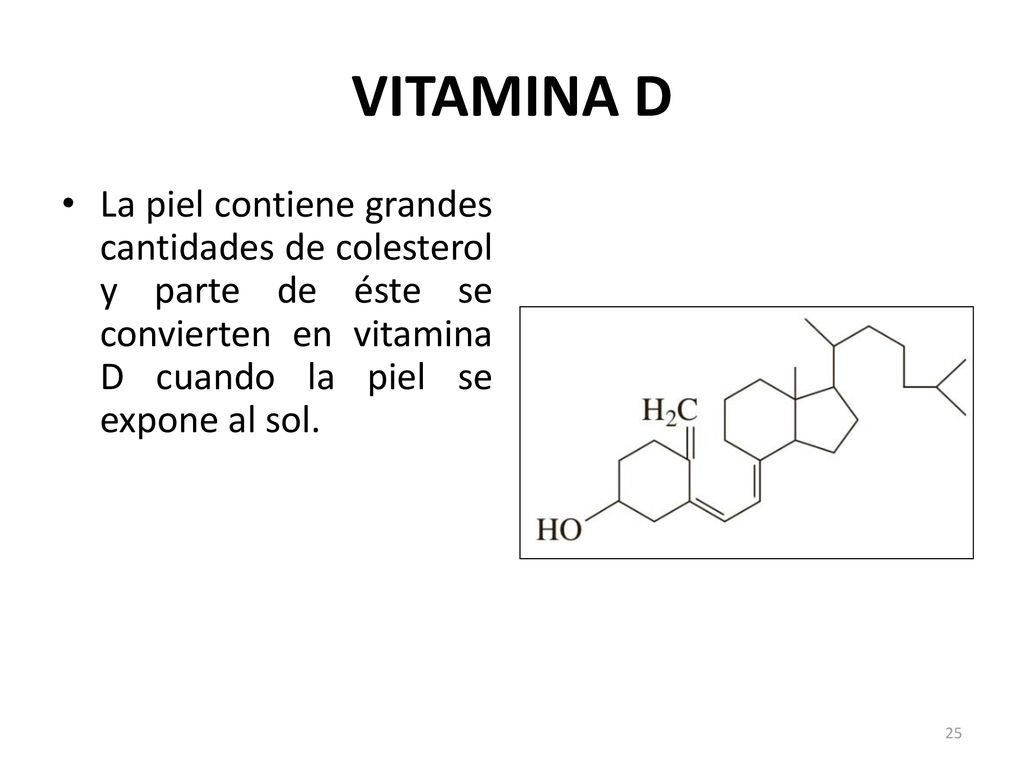 VITAMINA D La piel contiene grandes cantidades de colesterol y parte de éste se convierten en vitamina D cuando la piel se expone al sol.