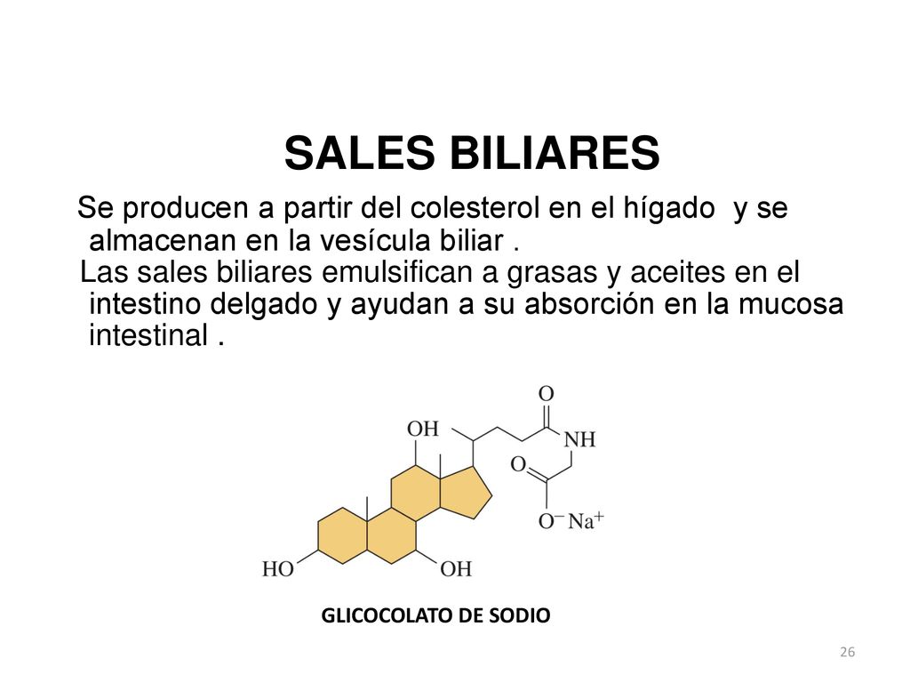 SALES BILIARES Se producen a partir del colesterol en el hígado y se almacenan en la vesícula biliar .
