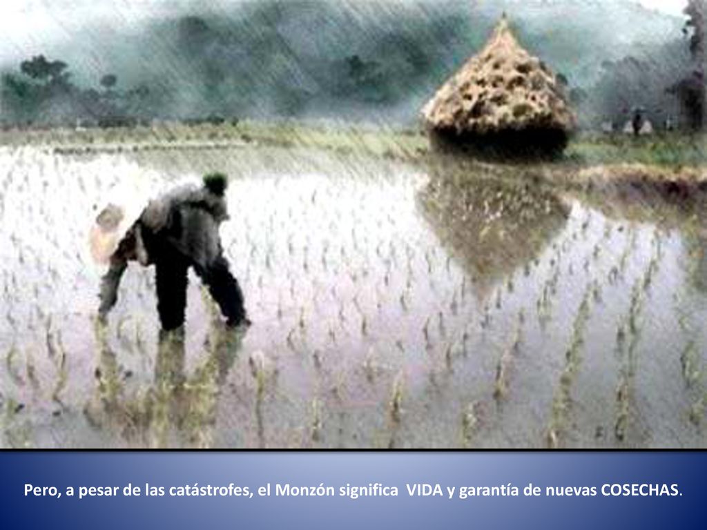 Pero, a pesar de las catástrofes, el Monzón significa VIDA y garantía de nuevas COSECHAS.
