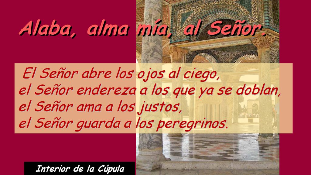 Alaba, alma mía, al Señor. El Señor abre los ojos al ciego,