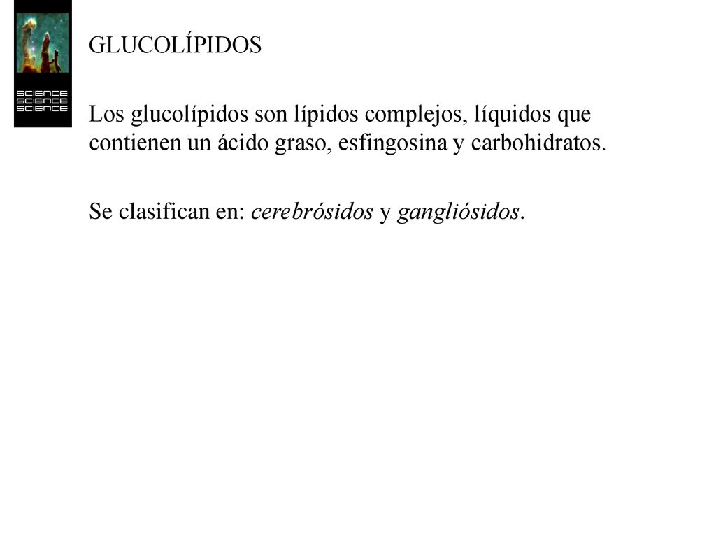 GLUCOLÍPIDOS Los glucolípidos son lípidos complejos, líquidos que contienen un ácido graso, esfingosina y carbohidratos.